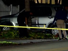 Miami Gun Violence Male Victim Hospitalized, Investigation Launched