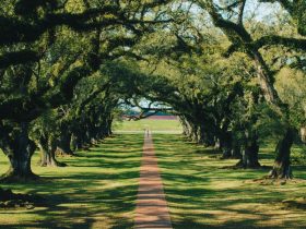 Most Dangerous Neighborhoods in Lafourche Parish