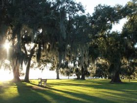 Most Dangerous Neighborhoods in St. Tammany Parish