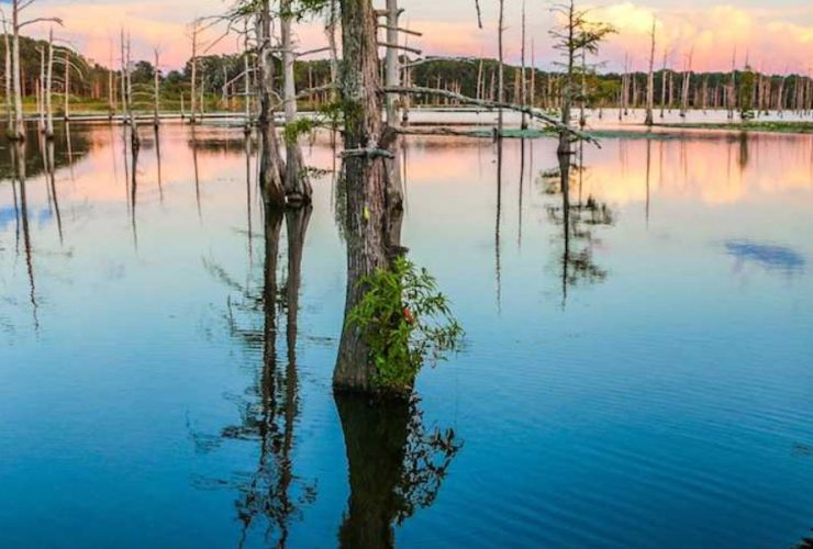 Most Poorest Neighborhoods in Ouachita Parish