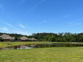 Most Poorest Neighborhoods in Tangipahoa Parish