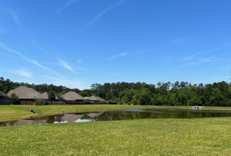Most Poorest Neighborhoods in Tangipahoa Parish