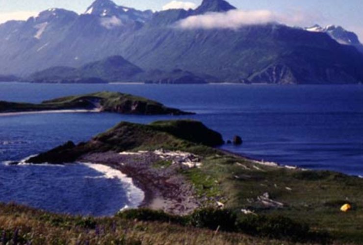 Most Safest Neighborhoods in Dillingham Census Area