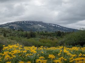 Most Underrated Neighborhoods in Bannock County
