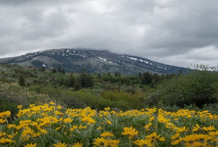 Most Underrated Neighborhoods in Bannock County