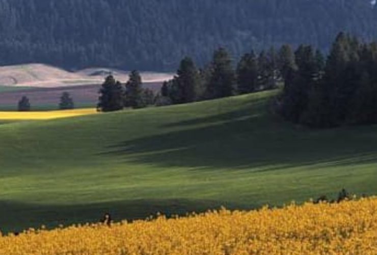 Most Underrated Neighborhoods in Latah County