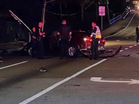 One Hurt in Tampa Collision FHP Conducts Probe