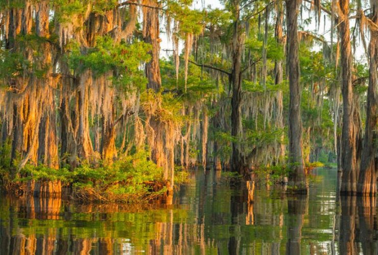 Poorest Neighborhoods in Vermilion Parish