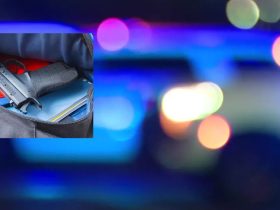 Tampa High School Takes Swift Action After Student Found with Loaded Stolen Firearm