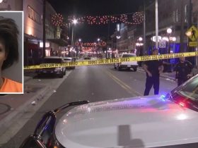 Tampa Police Make Arrest in Hit-and-Run Killing of 57-Year-Old Bicyclist