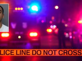 Alleged Miami Stabbing Suspect Targets Victim in Urination Incident