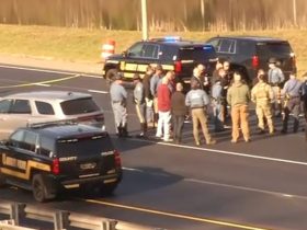 Arrest Made After I-95 Pursuit and Highway Standoff Unfolds