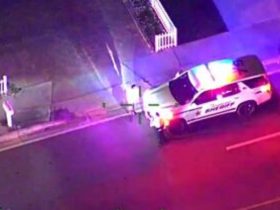Driver Arrested for Attempted Escape After Traffic Stop