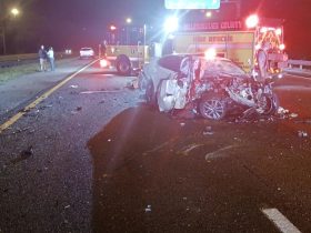 Fiery Collision on I-75: 21-Year-Old Wrong-Way Driver Triggers Crash, FHP Reports