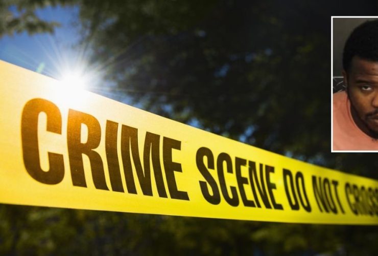 Florida Man Accused of Attempted Murder in Battle Over Grandma's Phone