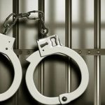 Florida Man's Violent Act on Dogs Post-Prison Release