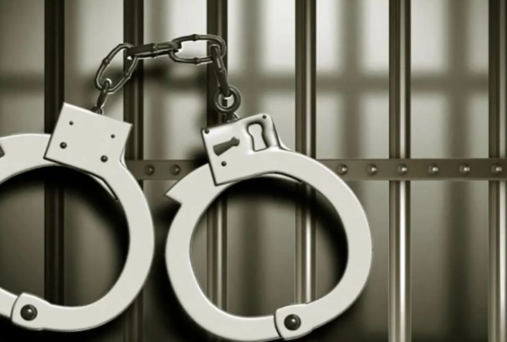 Florida Man's Violent Act on Dogs Post-Prison Release