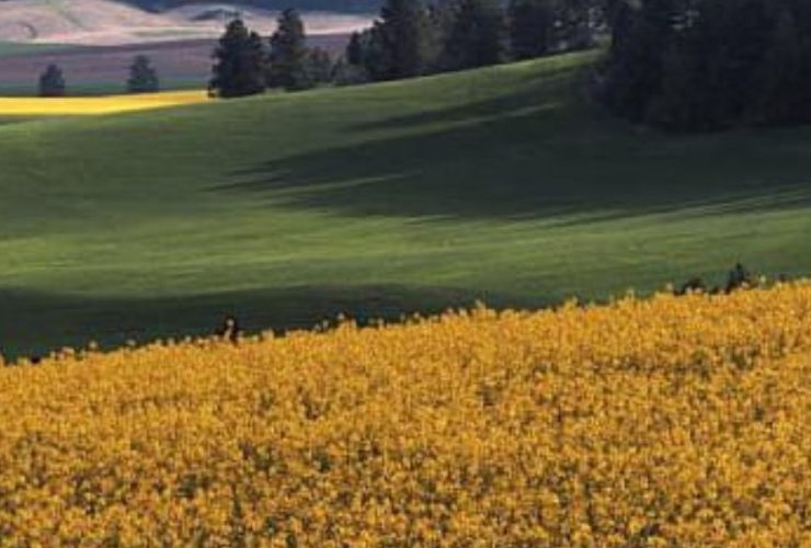 Most Dangerous Neighborhoods in Latah County