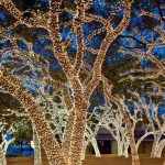 These Towns in Texas Have the Best Christmas Light Displays