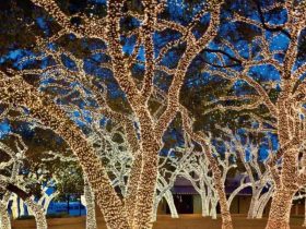 These Towns in Texas Have the Best Christmas Light Displays