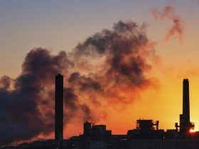 This Massachusetts City Has Been Named the Most Polluted City in the State
