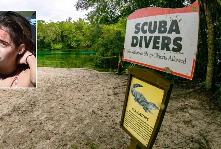 Woman's Encounter with 9-Foot Alligator Ends Remarkably