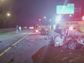 Wrong-Way Crash Claims Driver's Life on Busy I-75