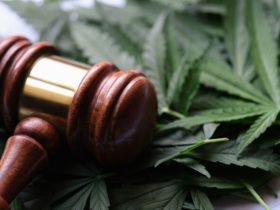 Marijuana Policy Update13th Georgia City Decriminalizes Marijuana Use