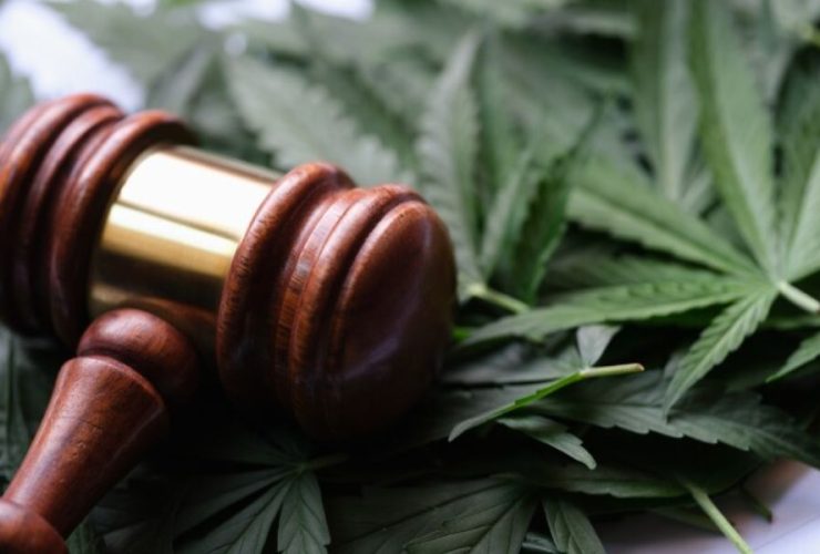 Marijuana Policy Update13th Georgia City Decriminalizes Marijuana Use