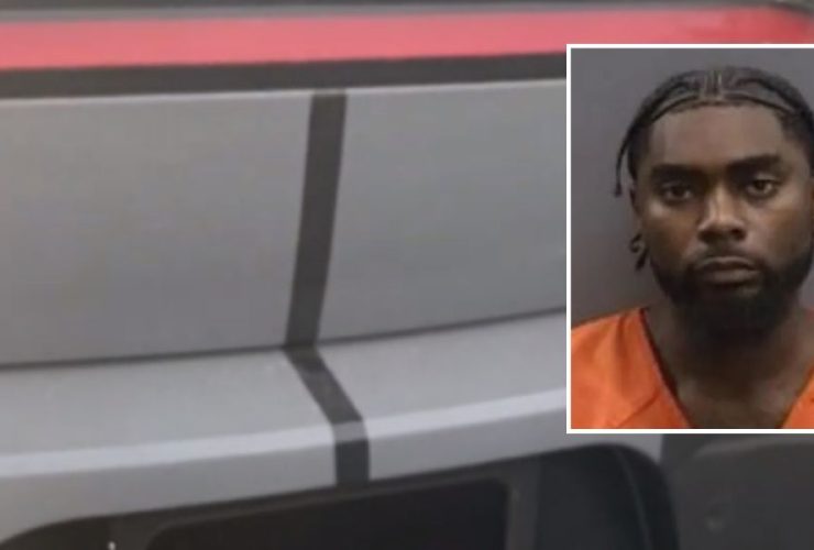 Tampa Police Apprehend Suspect in Pasco County Car Theft