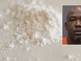 Tampa Resident Charged with Double Murder in Fentanyl Overdose Case