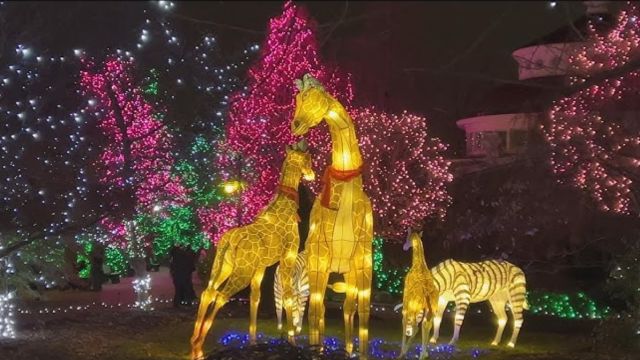 These Towns in Georgia Have the Best Christmas Light Displays