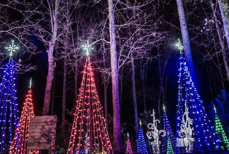 These Towns in Virginia Have the Best Christmas Light Displays