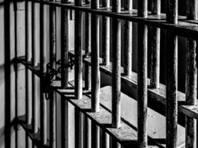 California to South Carolina Drug Smuggling Network Busted 19 Defendants in Custody