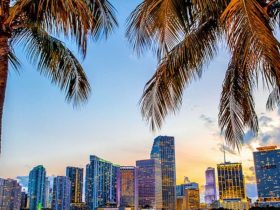 Discovering the 5 Florida Cities Where People Are Fleeing