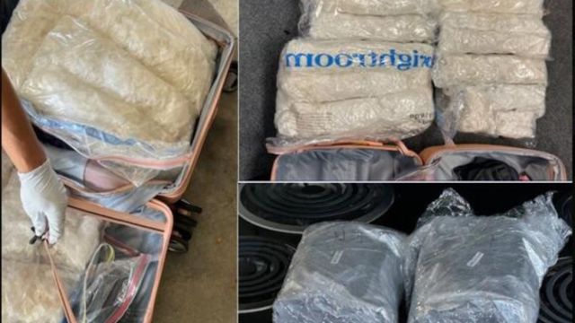 Florida Law Enforcement Shuts Down 5 Drug Rings in Massive Operation, Seizes $1 Million