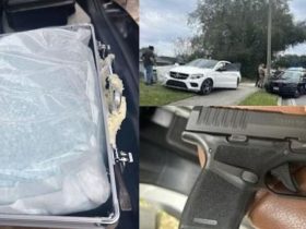 Florida Police Seize 15,000 Fentanyl Pills, Arrest 22-Year-Old Suspect