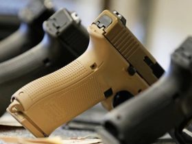 Legislation Proposes Gun Carry Rights in Firearm-Restricted Businesses