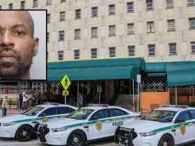 Miami Man Accused of Brutally Dragging Pregnant Girlfriend in Public Assault