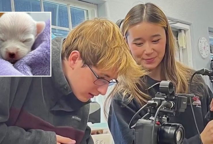 A Purr-fect Cause: Student Documentary Brings Attention to Oregon Animal Non-Profit