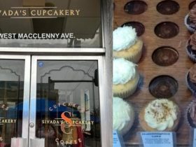 Sweet Beginnings Sivada's Cupcakery Launches in Macclenny This Week!