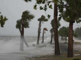 Tampa Bay Schools Announce Closures and Cancellations Due to Impending Storm