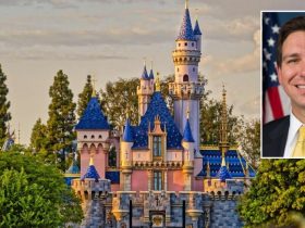 Disney's Legal Maneuver: Central Florida Tourism Oversight District Case Sees Another Motion