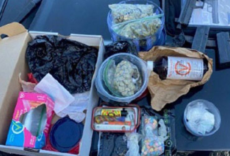 Task Force Triumph Florida Agencies Combine Efforts for Epic Cash, Drug, and Weapon Raid