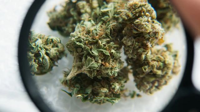 This City in Oregon is Smoking More Weed Than Anywhere Else in the State