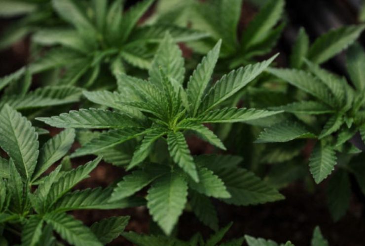 This City in Oregon is Smoking More Weed Than Anywhere Else in the State