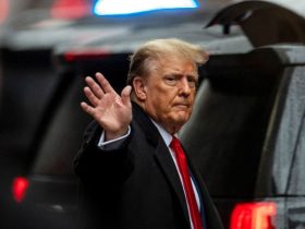 Trump's Illinois Primary Participation Secure Despite 14th Amendment Contest