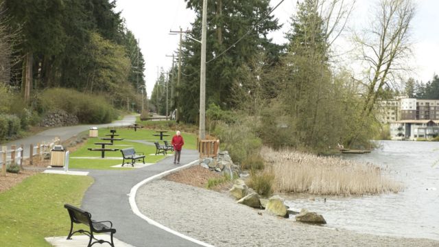 Caution Zones: A Closer Look at Shoreline, WA's Most Dangerous Areas