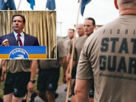 DeSantis Takes Proactive Approach, Sends Florida State Guard to Address Texas Border Issues