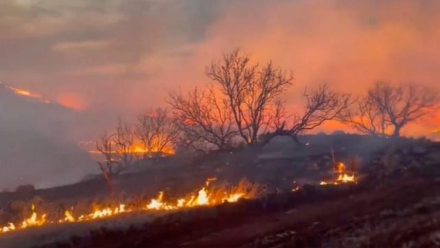Emergency Declaration Issued Amidst Raging Wildfires in the Texas Panhandle